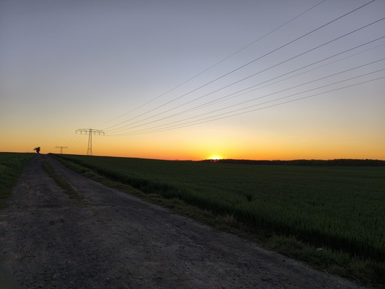 Sonnenuntergang hinter Bäumen weit hinten, davor ein großes Feld mit einem Feldweg 